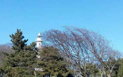 青島市歌舞劇院
